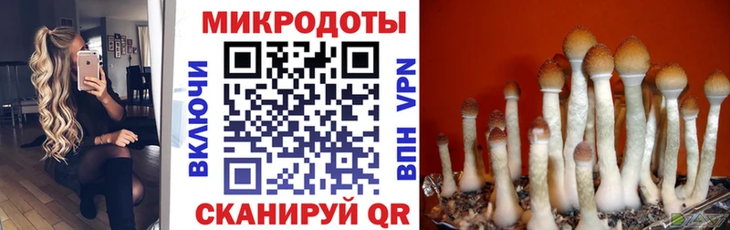 Галлюциногенные грибы Magic Shrooms Купить Ачхой-Мартан