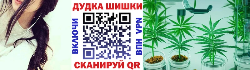 Купить где  Ачхой-Мартан  Бошки Шишки White Widow 